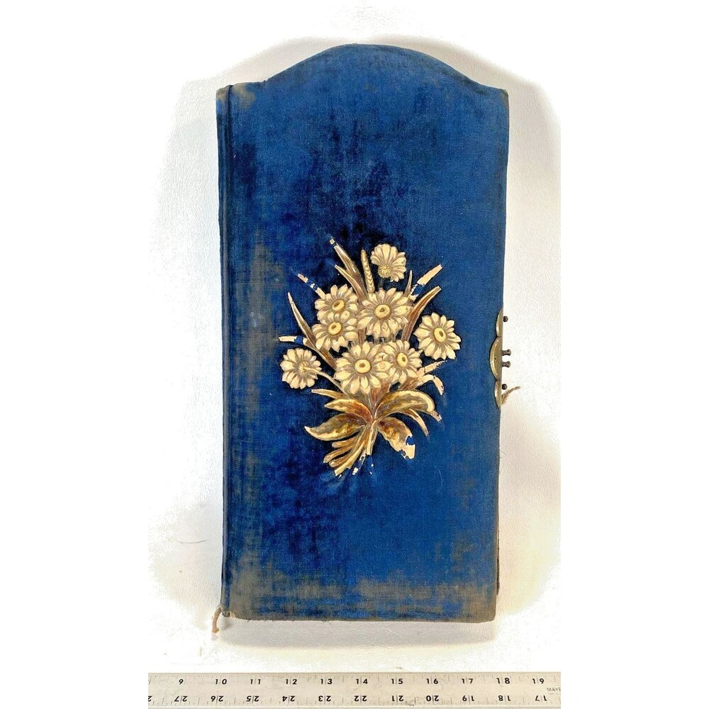 Antique Victorian Blue Velvet Cabinet Card Photo Album Floral Gilt Pages 1800s